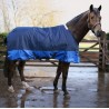 Foal Turnout Rug 100g Std Neck